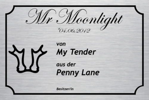 Boxenschild Classic mit Rahmen, Text und Brandzeichen