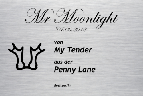 Boxenschild Classic mit Text und Brandzeichen