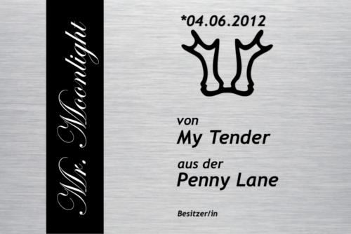 Boxenschild mit Text und Streifen Schwarz