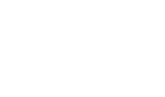Logo HorseShield Weiß