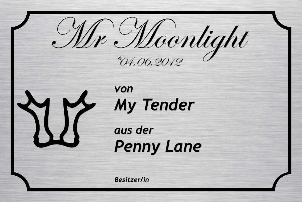 Boxenschild Classic mit Rahmen, Text und Brandzeichen