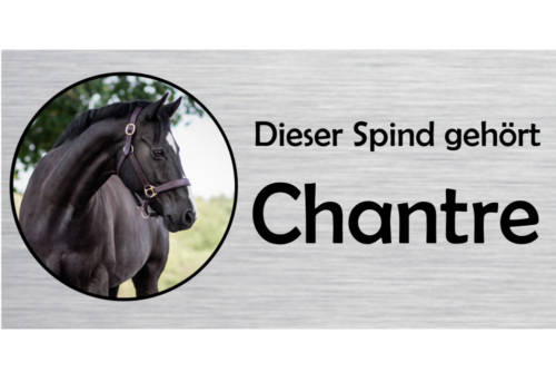 Spindschild Foto Rund und Text