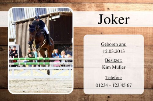 Boxenschild Stallschild Holzoptik