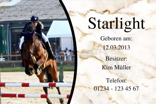 Boxenschild Stallschild Marmoroptik Hell