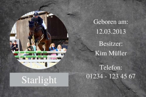 Boxenschild Stallschild Schieferoptik Rund